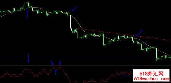 RZI��ָ������