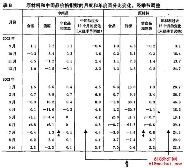 ���������ָ��