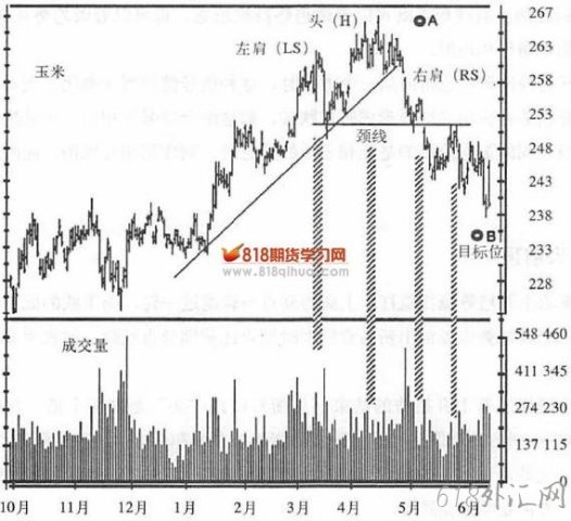  3.6.1 ͷ�綥