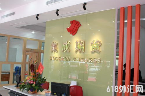  �����ڻ�������,�����ڻ����޹�˾