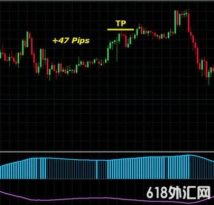 FOREX VIKING PRO��㽻��ϵͳһ��û��δ������