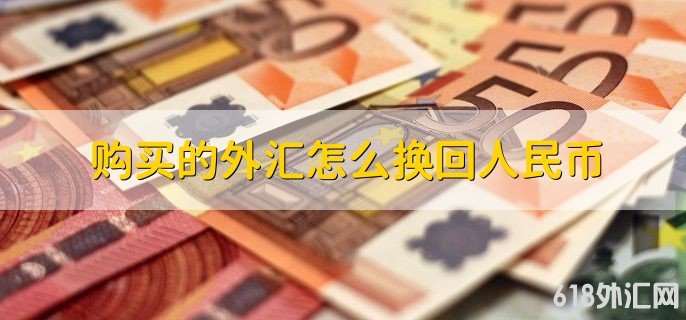 购买的外汇怎么换回人民币 有四步