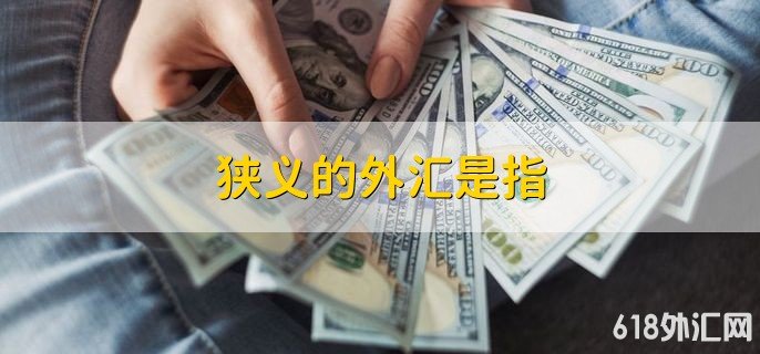 ����������ָ ���ʼ��֧���ֶ�