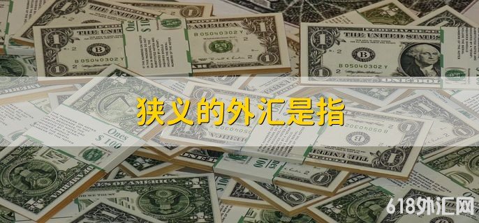 ����������ָ ���ʼ��֧���ֶ�