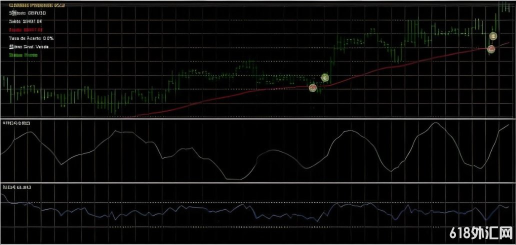 [����]GOLDEN PHOENIX���EA v5.0���ݶ������ָ�����һ��һ������