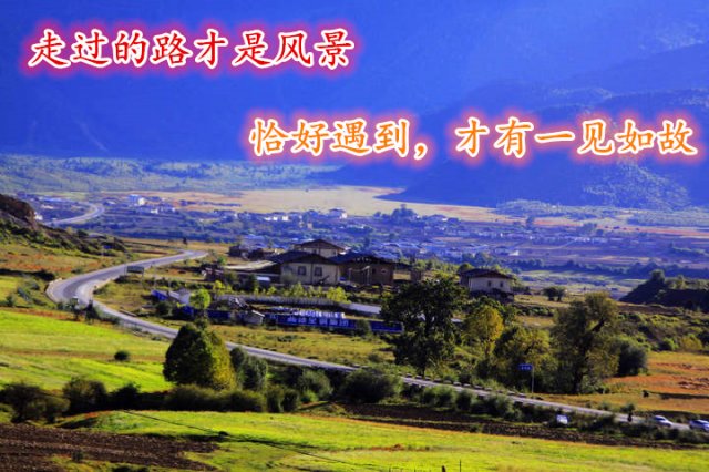 ����ӯ���ع� ����Ϊ��ӯ�� ����ʼ��