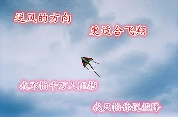 �����:����������٣��������׻ƽ�Ͷ�ʵ��ص�����